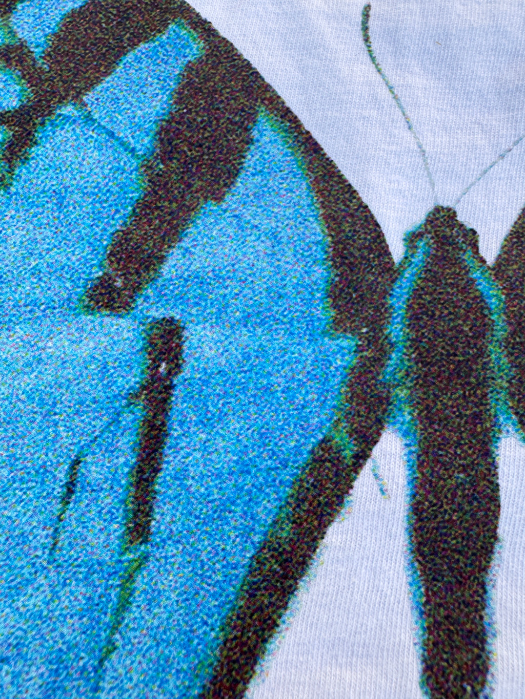 Changing with Christ Blue Butterfly
